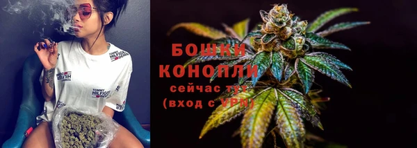 прущие крисы Белокуриха