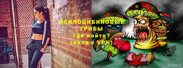 прущие крисы Белокуриха