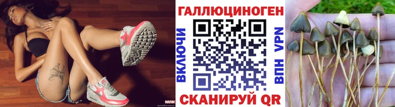 нарко площадка Telegram  мега как зайти  Кумертау  Псилоцибиновые грибы Psilocybe 